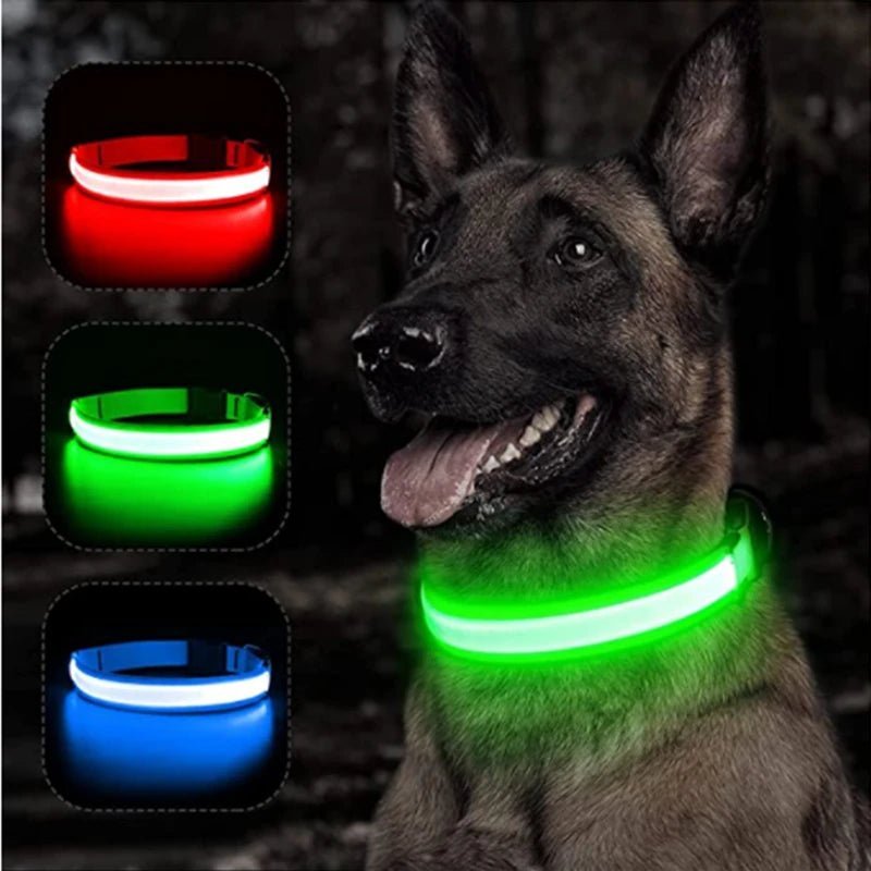 🔗LED Dog Collar – Light - Up Safety Collar for Night Walks - Katchy Vibez