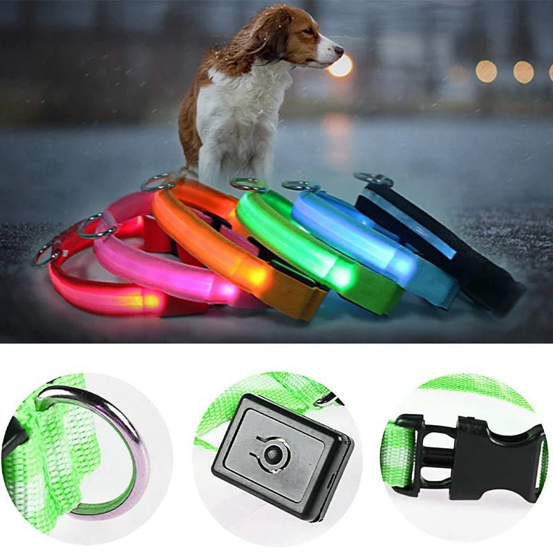 🔗LED Dog Collar – Light - Up Safety Collar for Night Walks - Katchy Vibez
