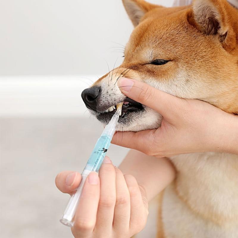 Pet Teeth Cleaning Pen - Katchy Vibez