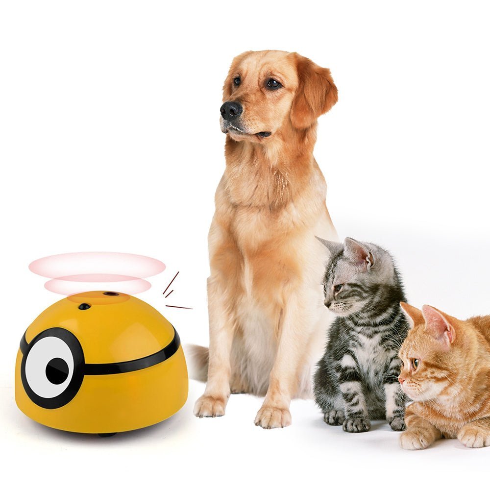 Interactive Cat Toy Ball – Smart Escaping Teaser with Lights & Sound - Katchy Vibez