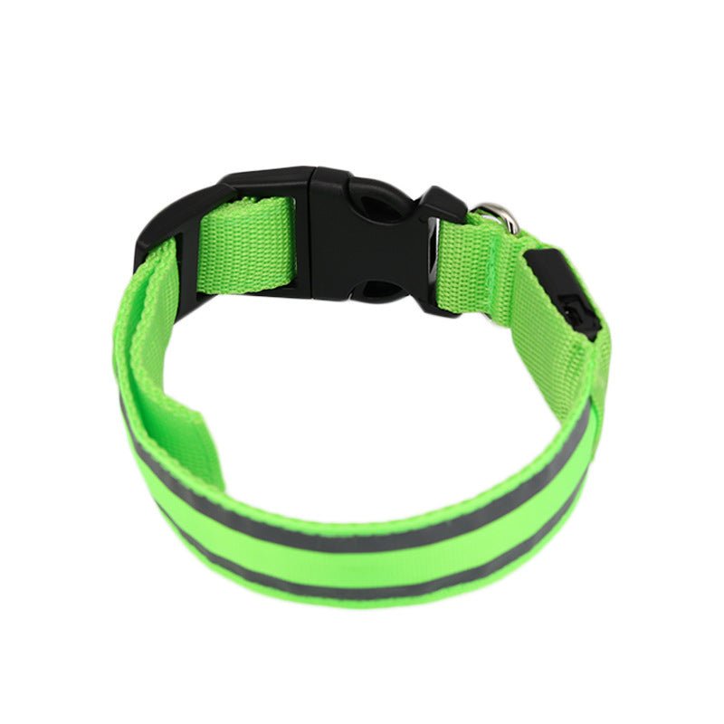 🔗LED Dog Collar – Light - Up Safety Collar for Night Walks - Katchy Vibez