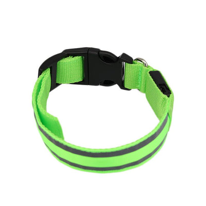 🔗LED Dog Collar – Light - Up Safety Collar for Night Walks - Katchy Vibez