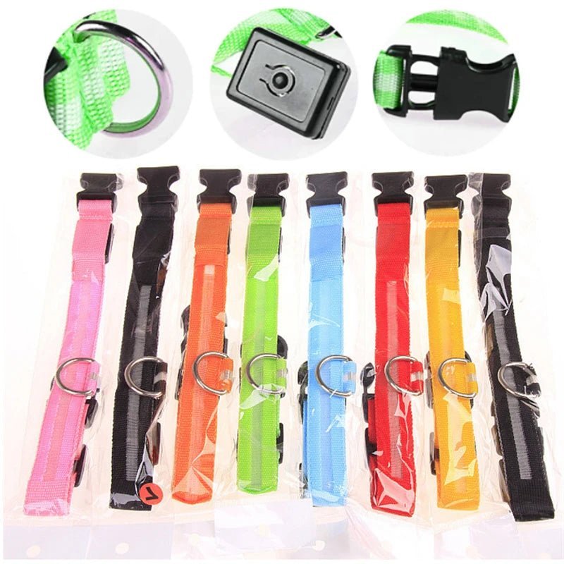 🔗LED Dog Collar – Light - Up Safety Collar for Night Walks - Katchy Vibez