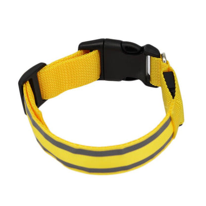 🔗LED Dog Collar – Light - Up Safety Collar for Night Walks - Katchy Vibez
