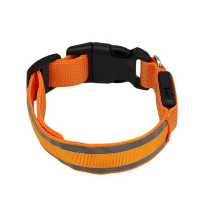 🔗LED Dog Collar – Light - Up Safety Collar for Night Walks - Katchy Vibez