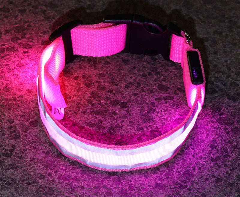 🔗LED Dog Collar – Light - Up Safety Collar for Night Walks - Katchy Vibez