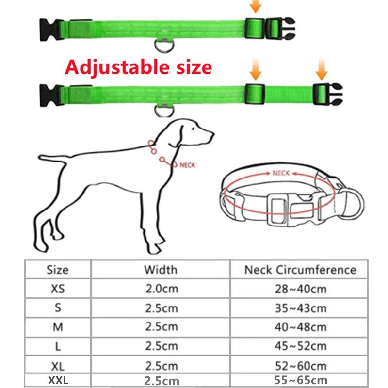 🔗LED Dog Collar – Light - Up Safety Collar for Night Walks - Katchy Vibez