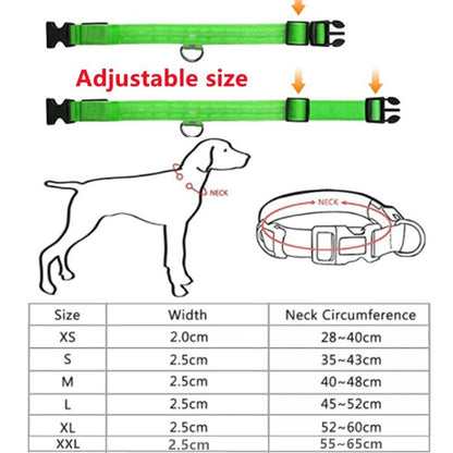 🔗LED Dog Collar – Light - Up Safety Collar for Night Walks - Katchy Vibez