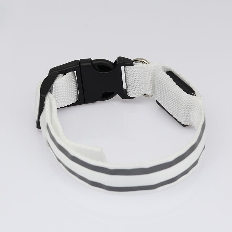 🔗LED Dog Collar – Light - Up Safety Collar for Night Walks - Katchy Vibez