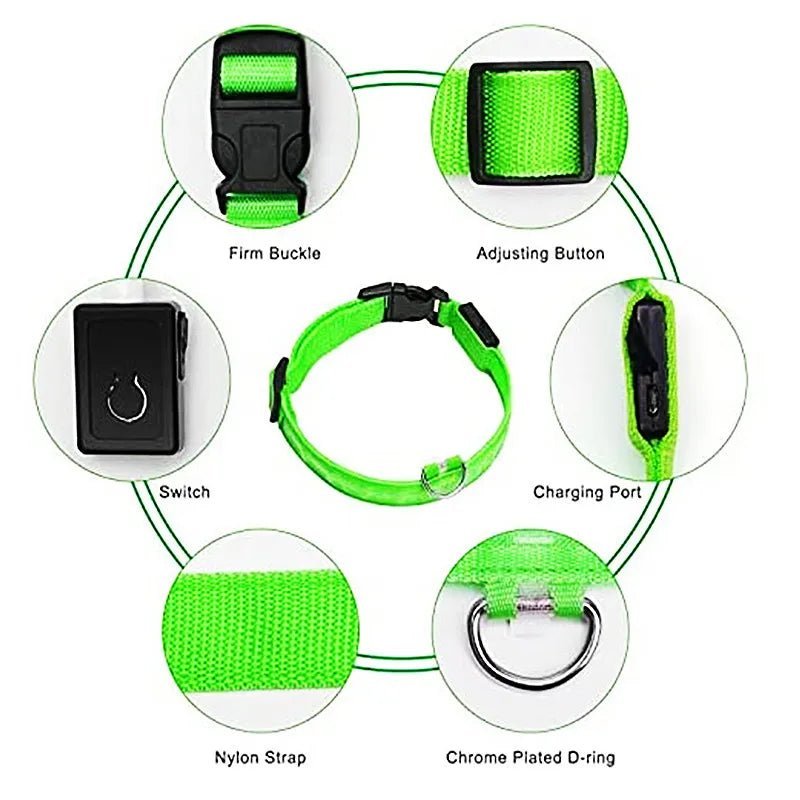 🔗LED Dog Collar – Light - Up Safety Collar for Night Walks - Katchy Vibez