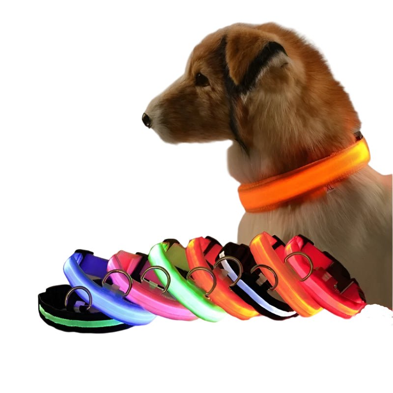 🔗LED Dog Collar – Light - Up Safety Collar for Night Walks - Katchy Vibez