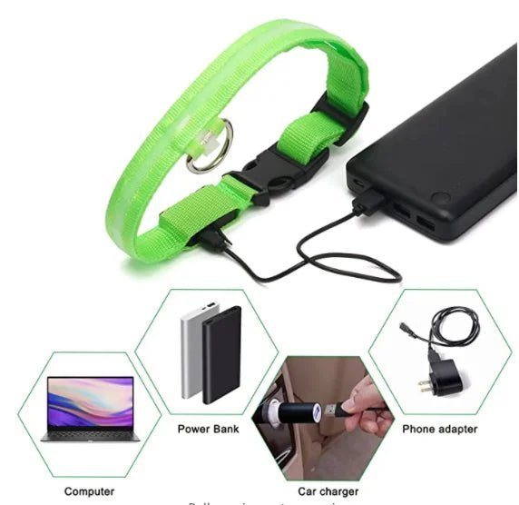 🔗LED Dog Collar – Light - Up Safety Collar for Night Walks - Katchy Vibez