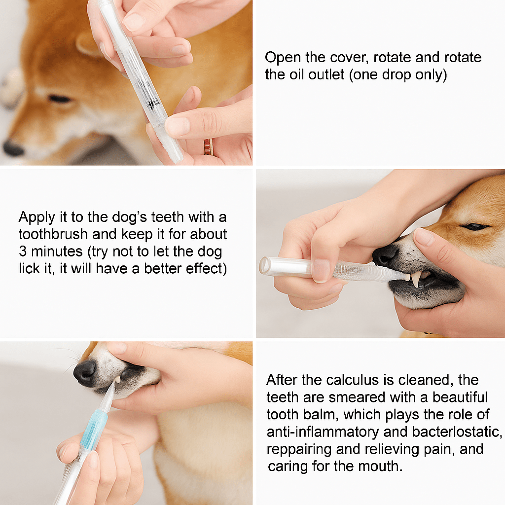 Pet Teeth Cleaning Pen for Dogs & Cats - Katchy Vibez