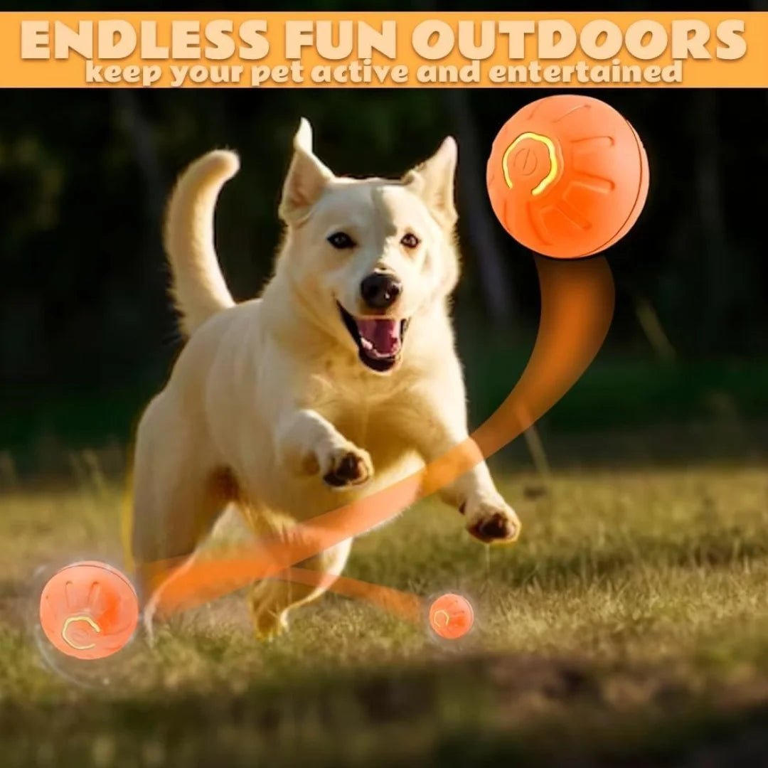 🔗Rechargeable Smart LED Pet Ball – Automatic Rolling & Bouncing Toy - Katchy Vibez
