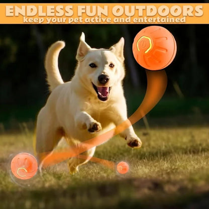 🔗Rechargeable Smart LED Pet Ball – Automatic Rolling & Bouncing Toy - Katchy Vibez
