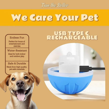 🔗Rechargeable Smart LED Pet Ball – Automatic Rolling & Bouncing Toy - Katchy Vibez