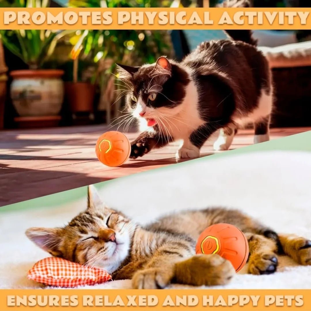 🔗Rechargeable Smart LED Pet Ball – Automatic Rolling & Bouncing Toy - Katchy Vibez