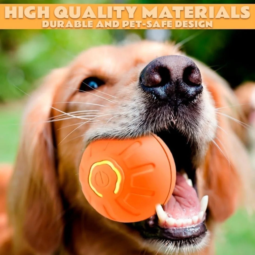 🔗Rechargeable Smart LED Pet Ball – Automatic Rolling & Bouncing Toy - Katchy Vibez