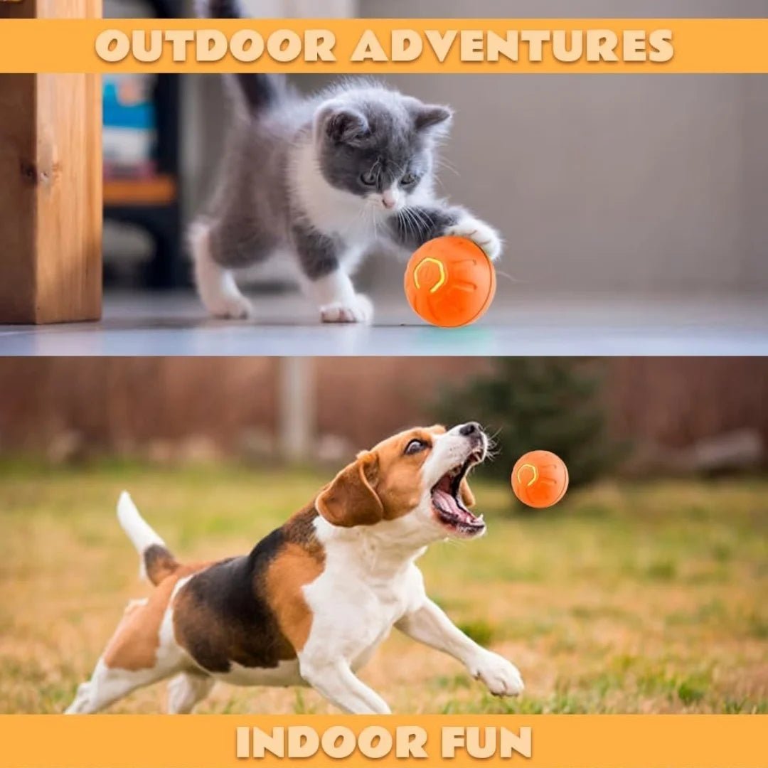 🔗Rechargeable Smart LED Pet Ball – Automatic Rolling & Bouncing Toy - Katchy Vibez