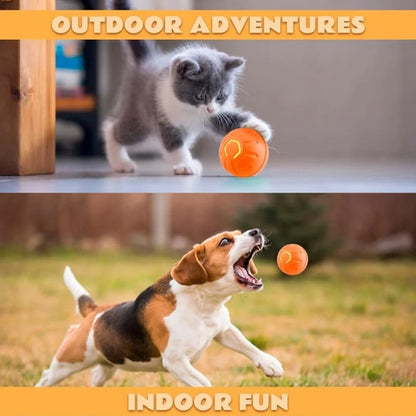 🔗Rechargeable Smart LED Pet Ball – Automatic Rolling & Bouncing Toy - Katchy Vibez