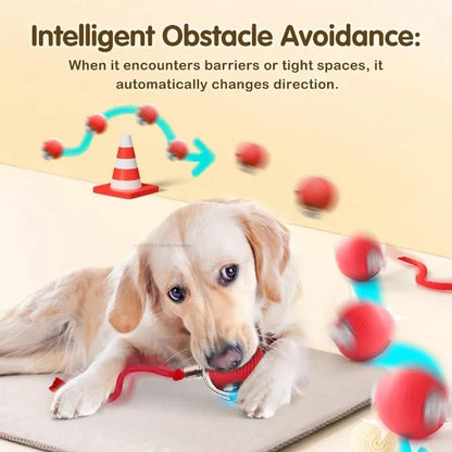 🔗Smart Pet Toy Interactive Ball | Smart Play, Happy Pet - Katchy Vibez