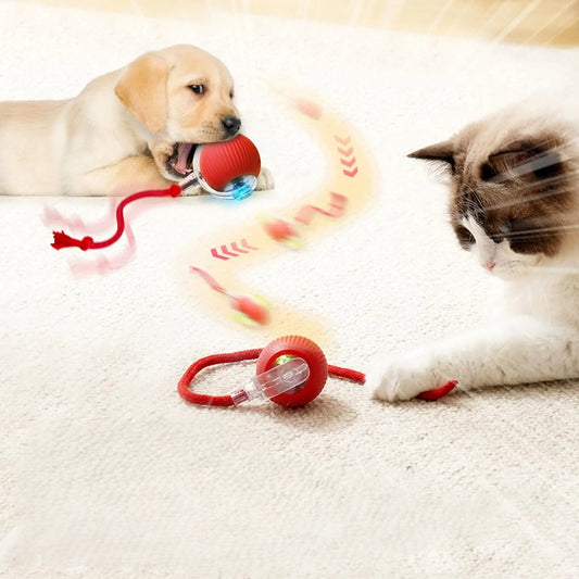 🔗Smart Pet Toy Interactive Ball | Smart Play, Happy Pet - Katchy Vibez