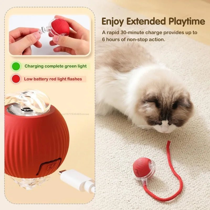 🔗Smart Pet Toy Interactive Ball | Smart Play, Happy Pet - Katchy Vibez
