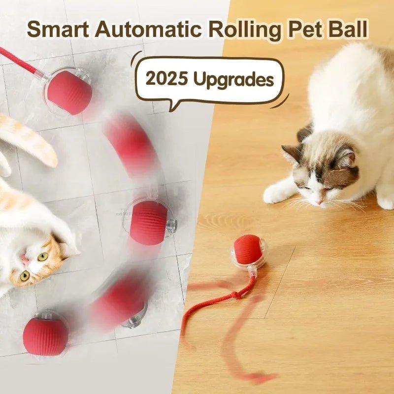 🔗Smart Pet Toy Interactive Ball | Smart Play, Happy Pet - Katchy Vibez