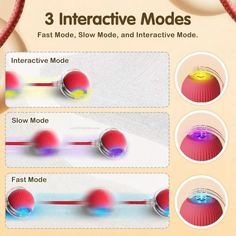 🔗Smart Pet Toy Interactive Ball | Smart Play, Happy Pet - Katchy Vibez