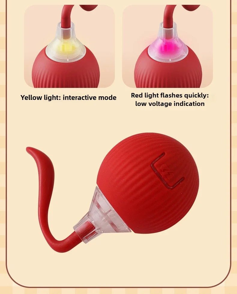 🔗Smart Pet Toy Interactive Ball | Smart Play, Happy Pet - Katchy Vibez